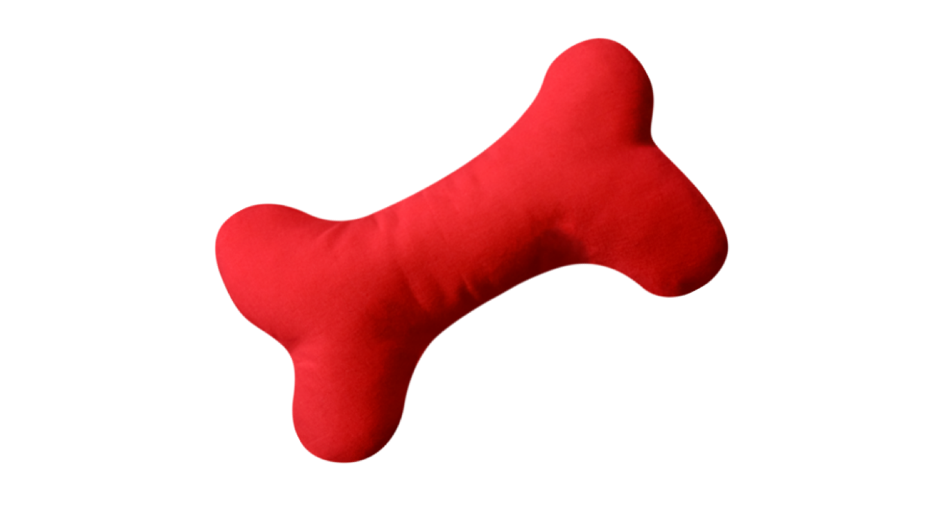 bone dog toy