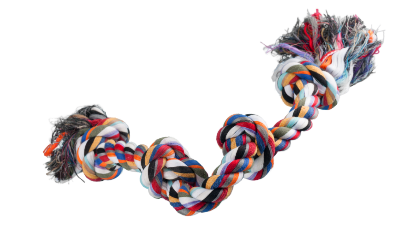 rope dog toy